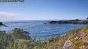 ./images/calvert/foggy-cove/20260903/foggy-cove20260903_171001M.jpg