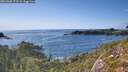./images/calvert/foggy-cove/20260903/foggy-cove20260903_173501M.jpg