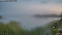 ./images/calvert/foggy-cove/20260904/foggy-cove20260904_063501M.jpg