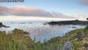 ./images/calvert/foggy-cove/20260904/foggy-cove20260904_074002M.jpg