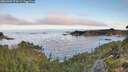 ./images/calvert/foggy-cove/20260904/foggy-cove20260904_074501M.jpg