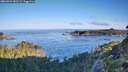 ./images/calvert/foggy-cove/20260904/foggy-cove20260904_081501M.jpg