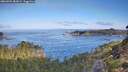 ./images/calvert/foggy-cove/20260904/foggy-cove20260904_082002M.jpg