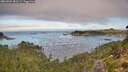 ./images/calvert/foggy-cove/20260904/foggy-cove20260904_083502M.jpg