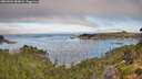 ./images/calvert/foggy-cove/20260904/foggy-cove20260904_084001M.jpg