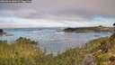 ./images/calvert/foggy-cove/20260904/foggy-cove20260904_084501M.jpg