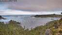 ./images/calvert/foggy-cove/20260904/foggy-cove20260904_085001M.jpg