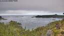 ./images/calvert/foggy-cove/20260904/foggy-cove20260904_090501M.jpg
