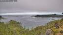 ./images/calvert/foggy-cove/20260904/foggy-cove20260904_091001M.jpg