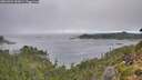 ./images/calvert/foggy-cove/20260904/foggy-cove20260904_092001M.jpg