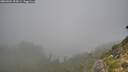 ./images/calvert/foggy-cove/20260904/foggy-cove20260904_093001M.jpg