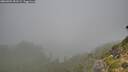 ./images/calvert/foggy-cove/20260904/foggy-cove20260904_093501M.jpg