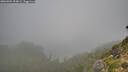 ./images/calvert/foggy-cove/20260904/foggy-cove20260904_094001M.jpg