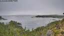 ./images/calvert/foggy-cove/20260904/foggy-cove20260904_095501M.jpg
