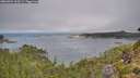 ./images/calvert/foggy-cove/20260904/foggy-cove20260904_103501M.jpg