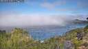 ./images/calvert/foggy-cove/20260904/foggy-cove20260904_105001M.jpg