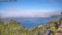 ./images/calvert/foggy-cove/20260904/foggy-cove20260904_110001M.jpg