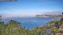 ./images/calvert/foggy-cove/20260904/foggy-cove20260904_110501M.jpg