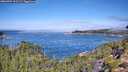 ./images/calvert/foggy-cove/20260904/foggy-cove20260904_111501M.jpg