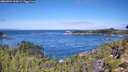 ./images/calvert/foggy-cove/20260904/foggy-cove20260904_112001M.jpg