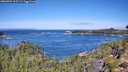 ./images/calvert/foggy-cove/20260904/foggy-cove20260904_112501M.jpg