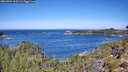 ./images/calvert/foggy-cove/20260904/foggy-cove20260904_113501M.jpg