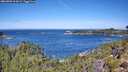 ./images/calvert/foggy-cove/20260904/foggy-cove20260904_114502M.jpg