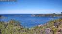 ./images/calvert/foggy-cove/20260904/foggy-cove20260904_115001M.jpg
