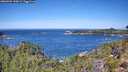 ./images/calvert/foggy-cove/20260904/foggy-cove20260904_120001M.jpg