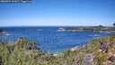 ./images/calvert/foggy-cove/20260904/foggy-cove20260904_121001M.jpg