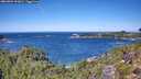 ./images/calvert/foggy-cove/20260904/foggy-cove20260904_123002M.jpg