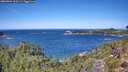 ./images/calvert/foggy-cove/20260904/foggy-cove20260904_123501M.jpg