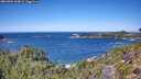 ./images/calvert/foggy-cove/20260904/foggy-cove20260904_124001M.jpg