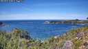 ./images/calvert/foggy-cove/20260904/foggy-cove20260904_134001M.jpg
