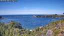 ./images/calvert/foggy-cove/20260904/foggy-cove20260904_140001M.jpg