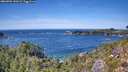 ./images/calvert/foggy-cove/20260904/foggy-cove20260904_141001M.jpg