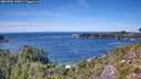 ./images/calvert/foggy-cove/20260904/foggy-cove20260904_143001M.jpg