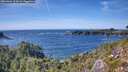 ./images/calvert/foggy-cove/20260904/foggy-cove20260904_153001M.jpg