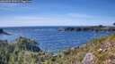 ./images/calvert/foggy-cove/20260904/foggy-cove20260904_155002M.jpg