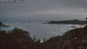 ./images/calvert/foggy-cove/20260905/foggy-cove20260905_062502M.jpg