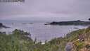 ./images/calvert/foggy-cove/20260905/foggy-cove20260905_065002M.jpg