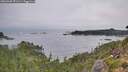 ./images/calvert/foggy-cove/20260905/foggy-cove20260905_071501M.jpg