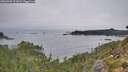 ./images/calvert/foggy-cove/20260905/foggy-cove20260905_072001M.jpg