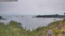 ./images/calvert/foggy-cove/20260905/foggy-cove20260905_072501M.jpg