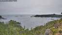 ./images/calvert/foggy-cove/20260905/foggy-cove20260905_073001M.jpg