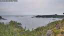 ./images/calvert/foggy-cove/20260905/foggy-cove20260905_073501M.jpg