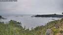 ./images/calvert/foggy-cove/20260905/foggy-cove20260905_074001M.jpg