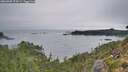 ./images/calvert/foggy-cove/20260905/foggy-cove20260905_074501M.jpg