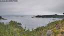./images/calvert/foggy-cove/20260905/foggy-cove20260905_075501M.jpg