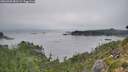 ./images/calvert/foggy-cove/20260905/foggy-cove20260905_081501M.jpg